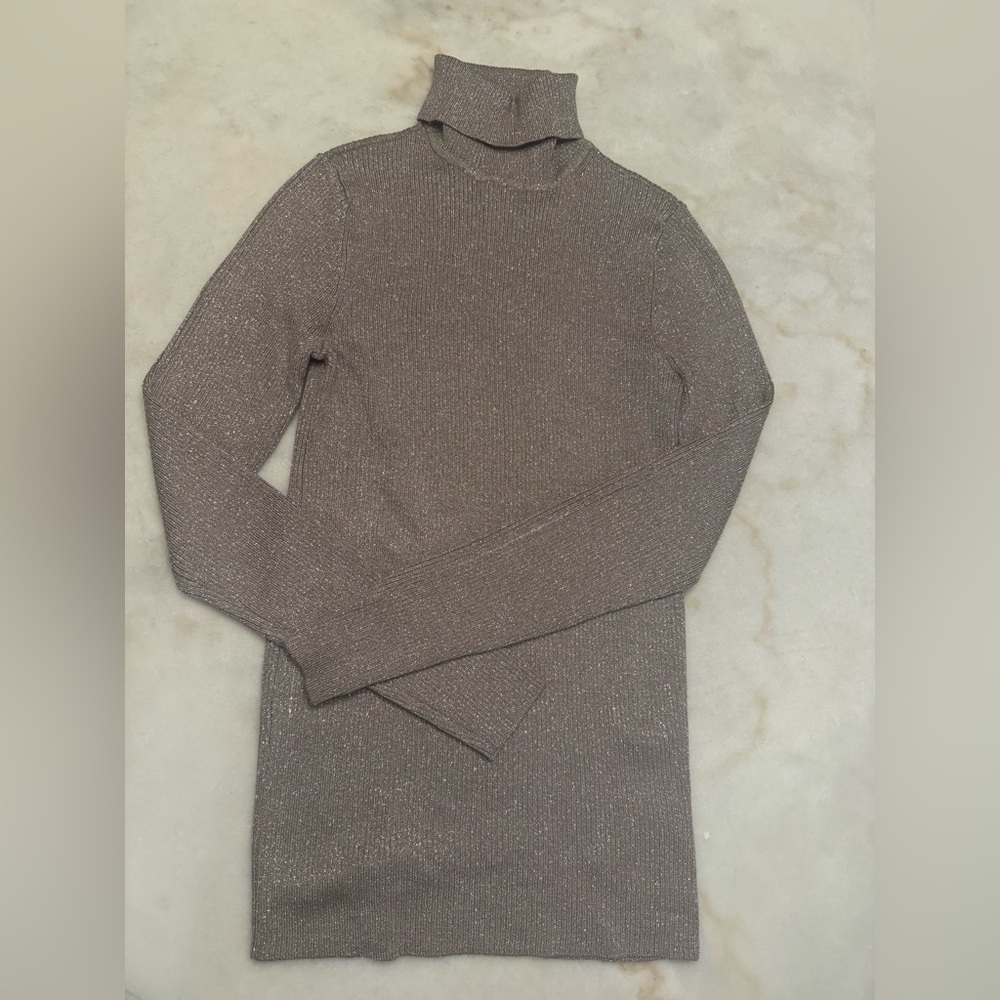 Express Turtle Neck Metallic Sweater
